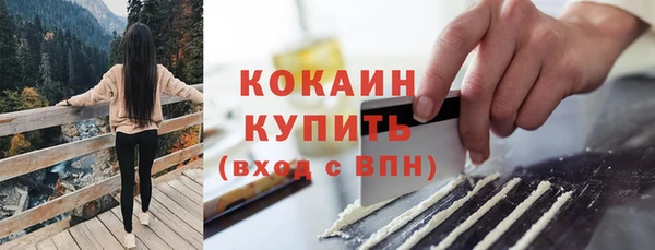 индика Медвежьегорск
