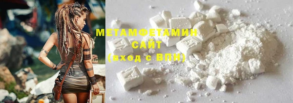 индика Медвежьегорск