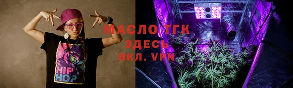индика Медвежьегорск