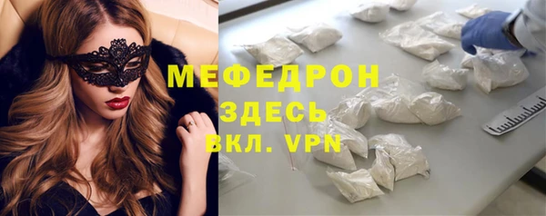 индика Медвежьегорск