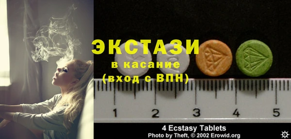 индика Медвежьегорск