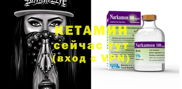 индика Медвежьегорск