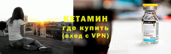 индика Медвежьегорск