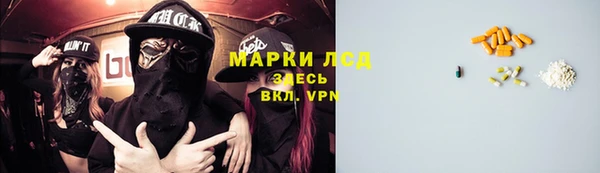 крисы Елабуга