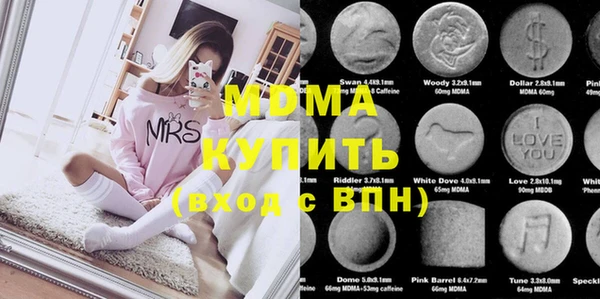 индика Медвежьегорск