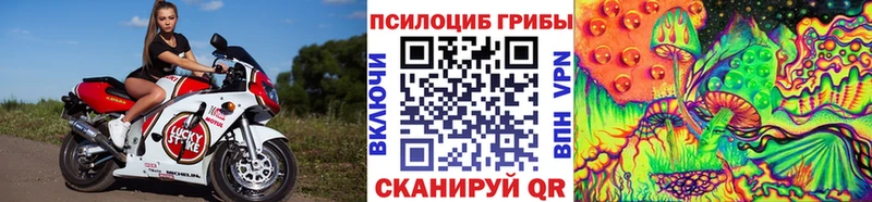 Псилоцибиновые грибы Cubensis  Заозёрный 